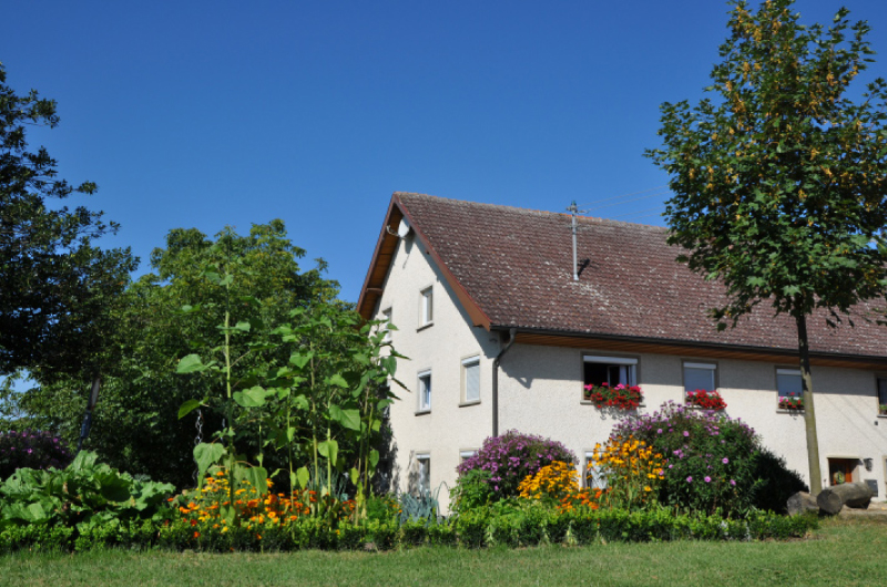 Ferien auf dem Bauernhof am Bodensee - Der Höhlerhof